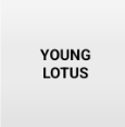 Young Lotus